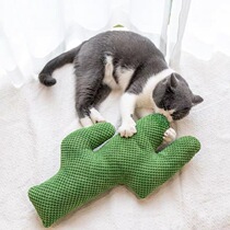 Cactus hug with pillowy cat toy teasing cat with cat grinders nibble nibbling on a pillow pet self-hi kitty