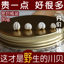 Fritillaria Home Sichuan Aba Wild Sichuan Fritillary Pine Shell and Pearl Oyster Chinese Herbal Medicine for the Moon 80g