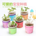 mic loa kéo Phòng ngủ văn phòng sáng tạo Máy tính để bàn Mini Dễ thương Cây trồng trong chậu Hoa nhỏ Cuộc sống cần thiết hàng ngày Cửa hàng bách hóa - Micrô mic at100 Micrô