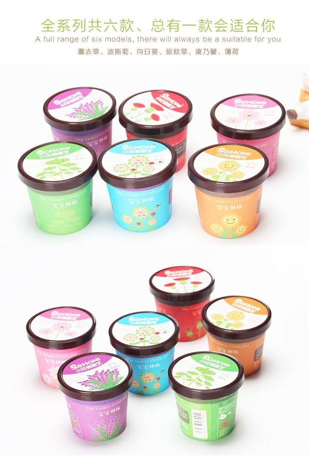 Phòng ngủ văn phòng sáng tạo Máy tính để bàn Mini Dễ thương Cây trồng trong chậu Hoa nhỏ Cuộc sống cần thiết hàng ngày Cửa hàng bách hóa - Micrô mua mic thu âm