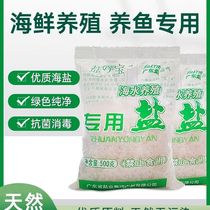 Brine shrimp eggs are hatched sea salt aquarium fish tanks are sterilized and cultured with coarse salt