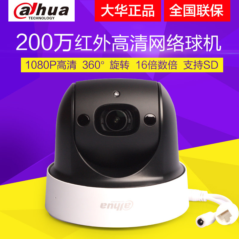 Dahua DH-SD-29D204UE-GN-WD network camera 2 million infrared HD network gimbal waterproof