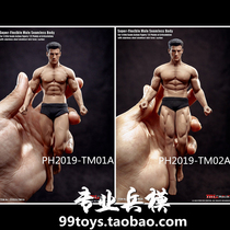 (Triple Crown)TBLeague 1 12 Lead Muscle Androgen TM01A TM02A Spot