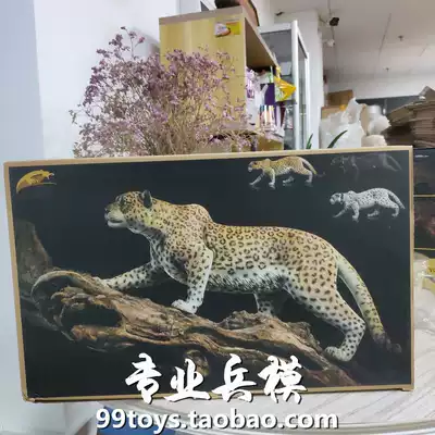 JxK StudioJxk009 1 6 Leopard Jaguar Snow leopard Black leopard eyes can be fluorescent spot