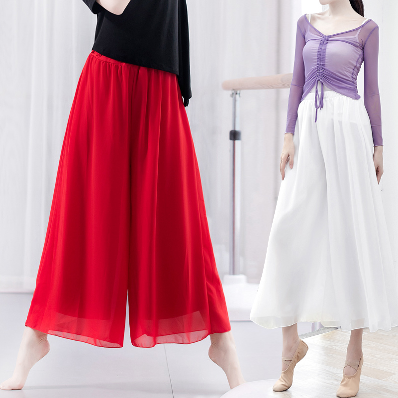 Classical dance costume wide-leg pants skirt women's high waist loose and elegant double-layer performance adult modern training clothes autumn and winter - Taobao