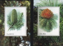 Plant-Cycas cedar tree commemorative sheet issued by Kunming Sifang United Stamps Sales Department 2 pieces in a set