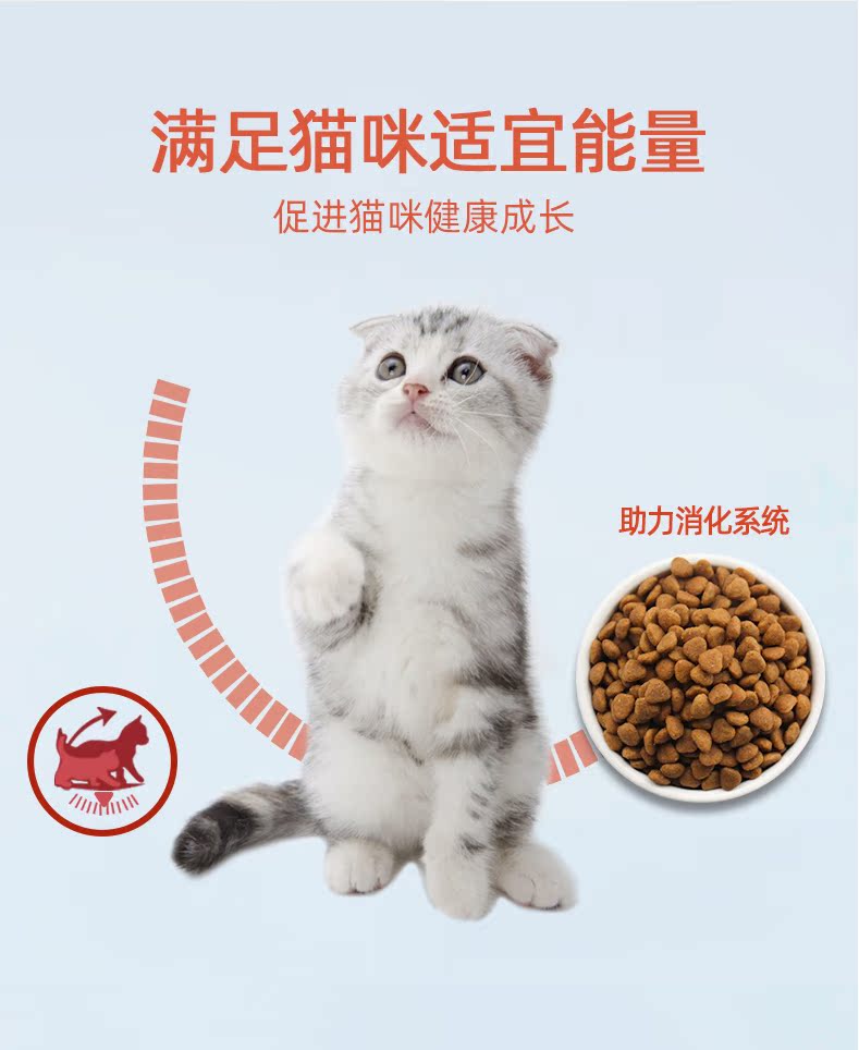 Petio bánh nướng và mèo, thức ăn, sắc đẹp, Anh ngắn, bạc ngắn, gradient, Garfield, mèo xanh, mèo trong nhà, thức ăn tự nhiên, 1,5kg - Cat Staples hạt nào tốt cho mèo