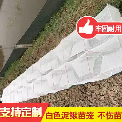 Mud Loach cage Taiwan seedling cage inch seedling cage fishing 1000-3000 tail does not hurt seedlings nylon seedling net material