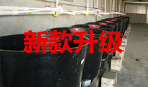 Loach hatching bucket Fry hatching bucket New hatching bucket is simple and efficient energy saving and water saving