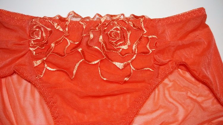 Slip en nylon - Ref 649510 Image 8