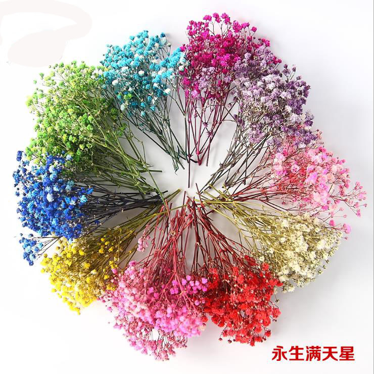 Evergreen flowers full of stars Lavender Wax Plate Drop Glue Drying Flowers glass cover Flowers Box cards Decorative Floral Materials