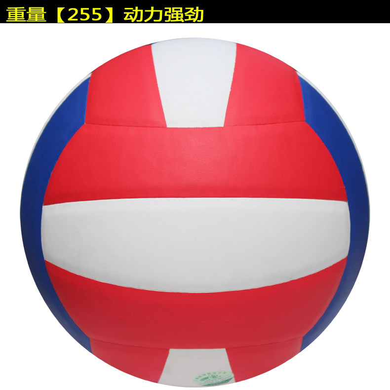 Ballon de volley-ball - Ref 2011227 Image 17