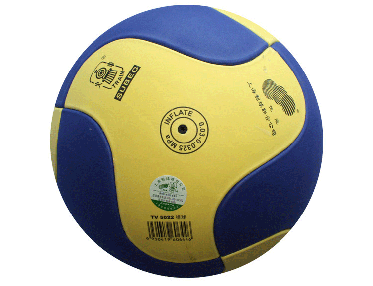 Ballon de volley-ball - Ref 2010030 Image 16