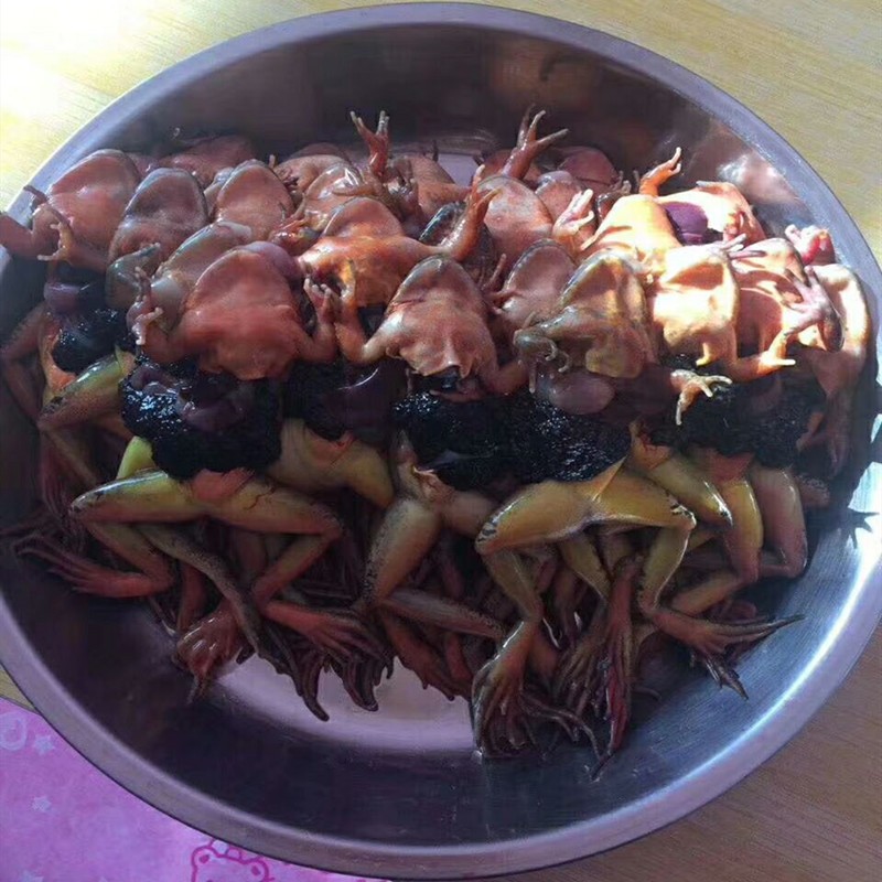 Take the seed forest frog to the oil forest frog snow clam leather shell Northeastern clams without oil frozen and shipped 500 gr