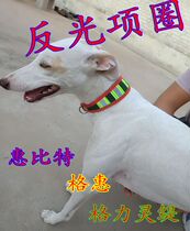 Fine dog reflective canvas collar Gee Hui string Gree dog collar Huit bit lights up dog collar New