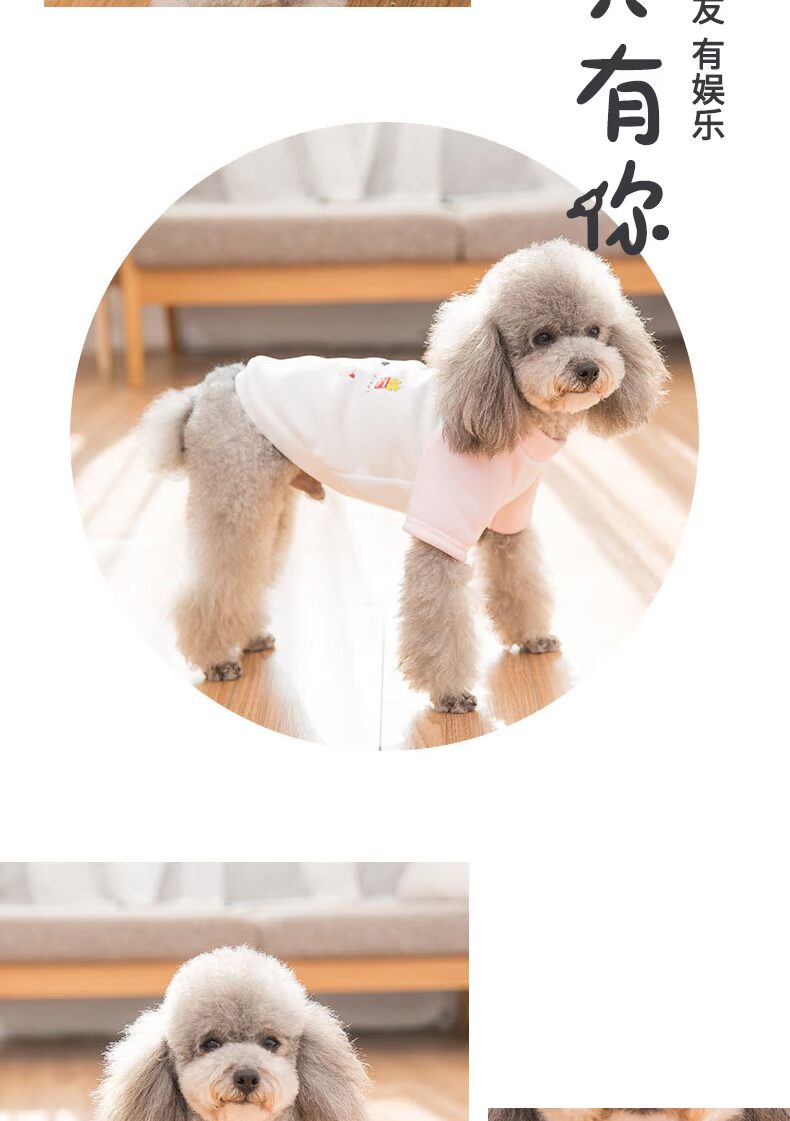 Mùa xuân mới 2019 Quần áo chó Teddy chó nhỏ hơn gấu mùa thu và quần áo mùa đông ấm áp chó bốn chân quần áo thú cưng - Quần áo & phụ kiện thú cưng quần áo thú cưng size lớn