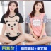 2 bộ quần short pajama giá thiết womens mất cartoon thường sinh viên tươi bông mùa hè mỏng. 