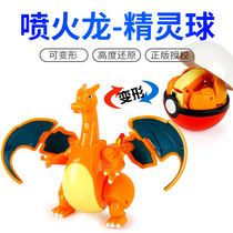 Pokémon Pets Pokémon Ball Pikachu Egg Fire Dragon Super Dream Dolls