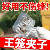Пластиковая клетка Пчела плоская пластиковая заключенная Hangzi Plastic King Cage Plastic Bee King Cage 15 Бесплатная доставка