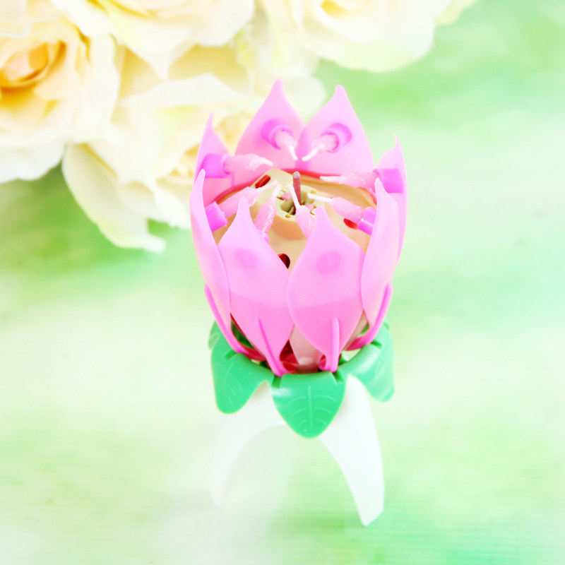 Bougie - Ref 2487657 Image 6