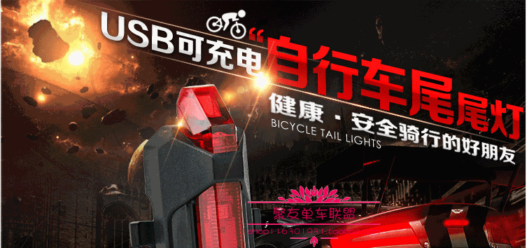 Eclairage pour vélo - Taillights - Ref 2401629 Image 6