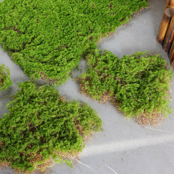 Moss skin moss block moss flocking ornaments soft decoration rockery turf lawn rough stone simulated moss block