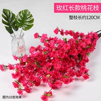 Длинная версия персикового цвета, красная, 1 ветка