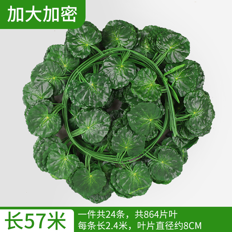57米加大加密海棠