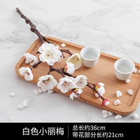 Сяоли Мей Уайт