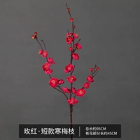 Короткая холодная слива Rose Red