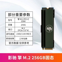 Двигатель M.2 256G