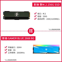 Двигатель M.2 256G+Gamer Blue 2666 8G
