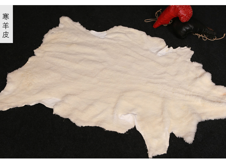 Toàn bộ Da cừu Sofa Mat Phòng ngủ Chăn Thảm Hộ gia đình Đệm lông Fur Một cửa sổ Mat Mat tham long