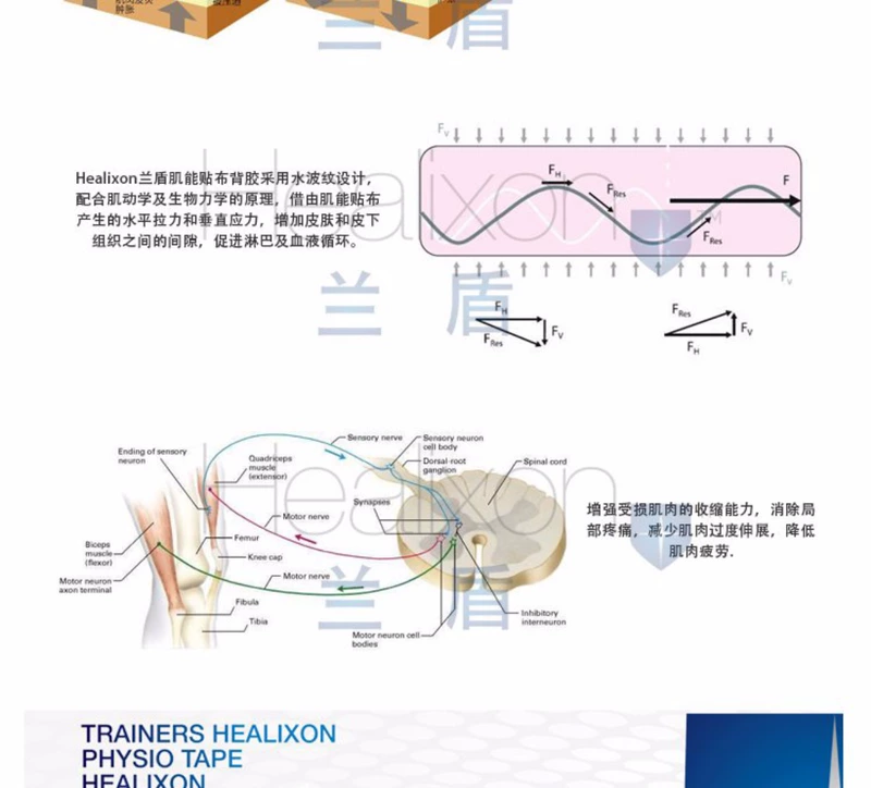 Lan Dun Healixon cơ có thể dính loạt đầy màu sắc In miếng dán cơ bắp Bóng rổ bảo vệ thể thao bóng rổ - Dụng cụ thể thao