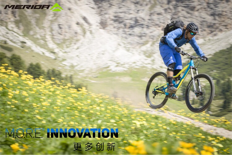 Pompe à vélo - Ref 2389424 Image 9