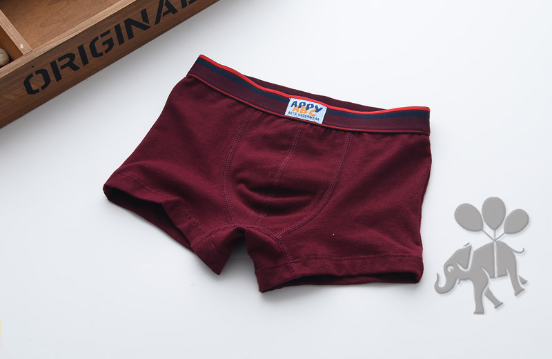 Quần boxer trẻ em trai bông quần short bé boxer bé trai lớn đồ lót trẻ em underwear