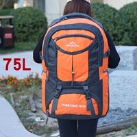 Оранжевый 75 литр 0860#