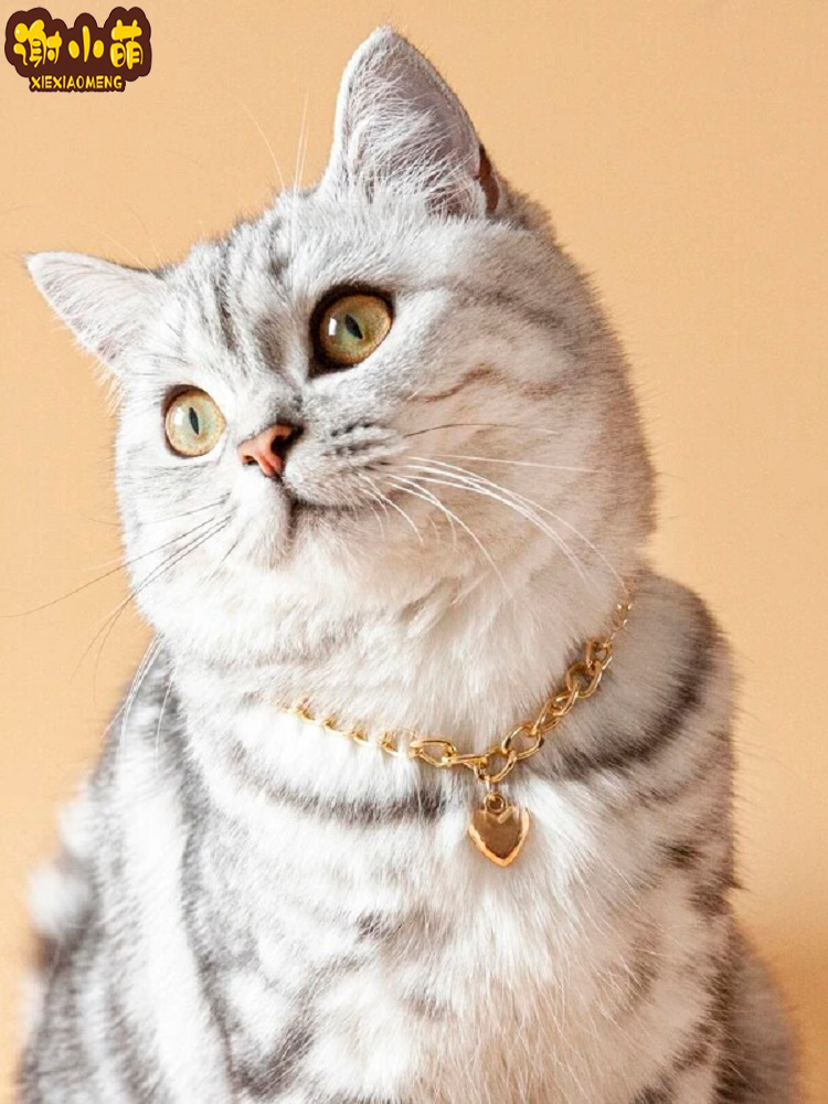 Pet Necklace Cat Dog Collar Love Cat Dog Necklace Fadouying Short Gold Chain Necklace Pet Hanging Jewelry