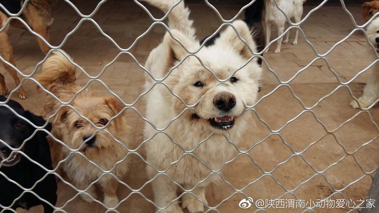 You gave me hope to live this month