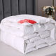 Down quilt 95 white goose down genuine cotton quilt five-star hotel winter quilt core winter thickened warm winter