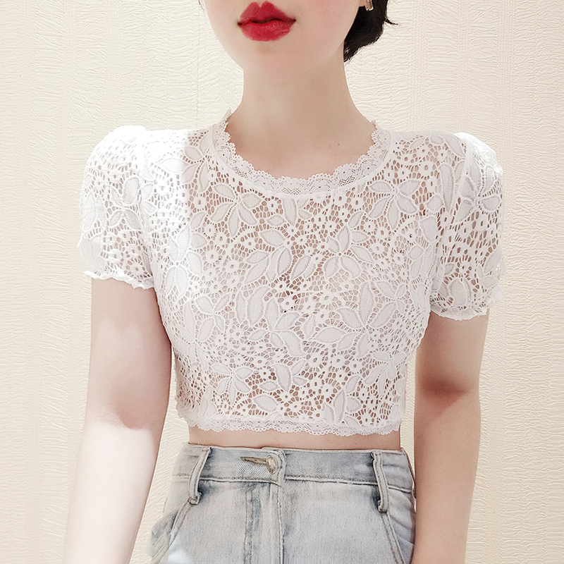 Lace Camisole Undershirt for Women 2025, Paired with a Sweater, Short-Sleeved Fake Collar Half-Sheer Mesh Top, Fairy-Like