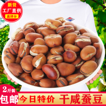 Crisp broad bean snacks 500g bulk spiced beef flavored orchid dried bean salty ready-to-eat handmade homemade nuts roasted