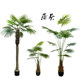 Palm leaf floor plant