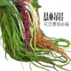 Simulated soft silk tail amaranth hanging rice lover's tears hanging fake flower art hanging simulated green plant wall design decoration