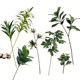 Terihui simulated single-leaf lily, bamboo and bean green