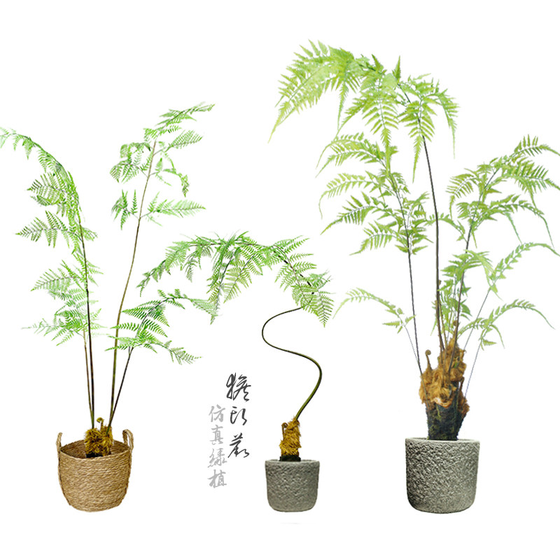 Simulation Fern Grass Tree Potted Nature Forest Ensemble Golden Silk Meditation Monkey Head Fern Green Plant Decorated Patio Landscape Furnishing-Taobao