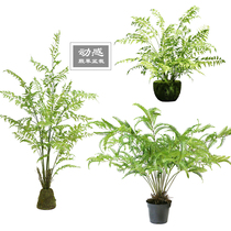 Simulation Fern bunch potted indoor model room homestay porch balcony forest natural simple style decoration decoration