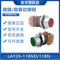 Chint Push Button Switch LAY39-11BNZS Self-Locking Self-Reset Button