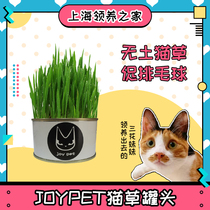 Canned cat grass a can of vernalized wool cat snacks soil-free organic cat grass hairy ball wheat