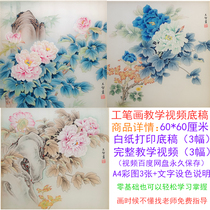 National Painting Beginner material Four-ruler Dou Fang Peony stroke White sketching draft Line Draft Physical Print Job Paintwork